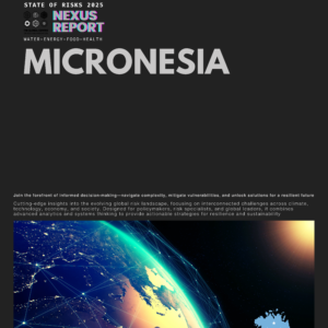 State of Risks: Micronesia (Print)