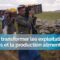 Yémen : transformer les exploitations agricoles et améliorent la production alimentaire