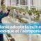 La Jordanie adopte la culture hydroponique et l’aéroponie pour une meilleure agriculture