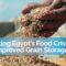 Mitigating Egypt’s Food Crisis with Improved Grain Storage