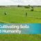 Togo: Growing Crops and Improving Soil Health to Feed Humanity