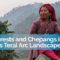 How the Forests Provide Livelihood and Environmental Services for the Indigenous Chepang Communities