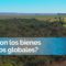 Abordando desafíos mundiales transfronterizos: ¿Qué son los bienes públicos globales?