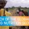 COP27 | Launch of the Global Food & Nutrition Security Dashboard