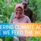 COP27 | Delivering Climate Action While We Feed the World