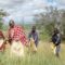 Replanting native species to restore grasslands in Tanzania | Savannas Forever | A local innovation