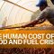 The Human Cost of the Food and Fuel Crises | WBG-IMF 2022 Annual Meetings