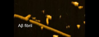 1732457496_maxresdefault.jpg