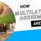 Multilateralism, explained | How international treaties are made