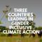 Three countries leading in gender-inclusive climate action