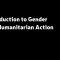 Introduction to Gender and Humanitarian Action