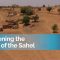 Regreening the Future of the Sahel: Climate Adaptation Policies and Investments