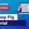 Hadoop Pig Tutorial | Pig Hadoop Tutorial | Hadoop Training | Edureka Rewind