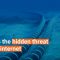 This is the hidden threat to our internet | UNDRR