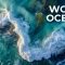 World Oceans Day: Protecting Our Blue Planet for Future Generations