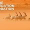 Rewilding the oryx, a #GenerationRestoration story