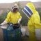 Empowering women through beekeeping in Bamyan province