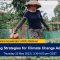 Webinar: Financing Strategies for Climate Change Adaptation​