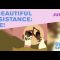 A Beautiful Resistance: Live!