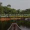 It’s time to walk the talk on forest and climate commitments