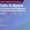 Biotechnology & Society: Stem Cells in Space