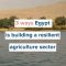 SCALA in Egypt