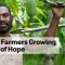 Papua New Guinea Cocoa Farmers Growing Seeds of Hope