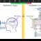Rosa Cao: Do AI Systems Model Meaning And Understanding?