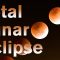 Total Lunar Eclipse on November 8 #Shorts