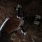 Engineers design spider-like robot that may be used to explore caves on Mars