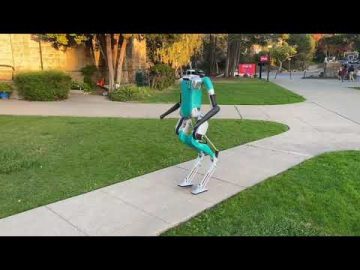 1732944229_hqdefault.jpg
