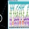 Stanford EE274: Data Compression I 2023 I Lecture 17 – Humans and Compression