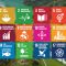 It’s now or never: achieving the SDGs hinges on effective crises response