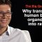 Using Human Brain Cells in Rats to Understand Psychiatric Disorders with Dr. Sergiu Pasca