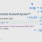 Stanford EE274: Data Compression I 2023 I Lecture 7 – ANS