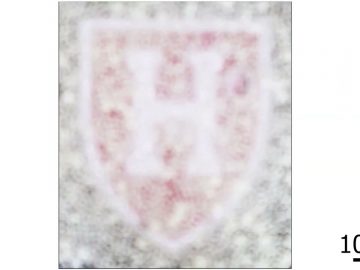 1732988159_maxresdefault.jpg