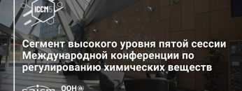 1733045431_maxresdefault.jpg