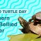 Endangered Species: Red-bellied Cooters #Short