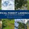 Tropical Forest Landscapes Online Certificate | Yale University