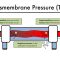 Hemodialysis Kinetics 101 05 Transmembrane Pressure