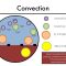 Hemodialysis Kinetics 101 04 Convection