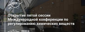 1733111312_maxresdefault.jpg
