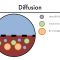 Hemodialysis Kinetics 101 03 Diffusion