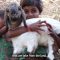 Video – Special Report on Climate Change and Land