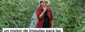 1733245954_maxresdefault.jpg