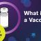 What is a Vaccine?