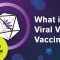 What is a Viral Vector vaccine?