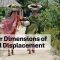 Gender Dimensions of Forced Displacement