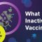 What is an Inactivated Vaccine?