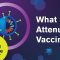 What is a Live Attenuated Vaccine?